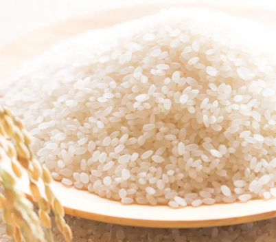 新米「ゆうだい２１」入荷しました！